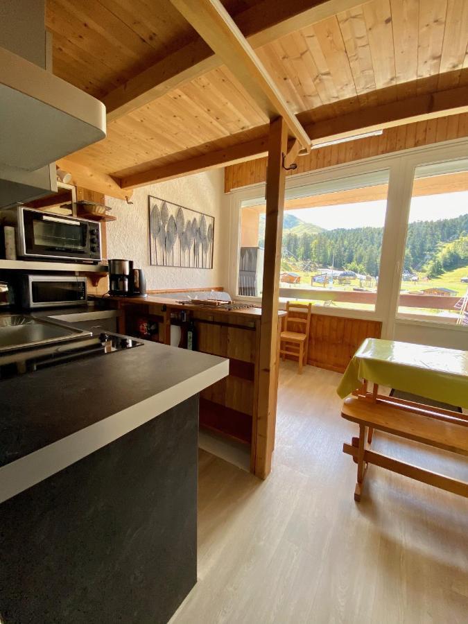 Super Lioran - Appartement Entierement Equipe Laveissière Exteriör bild
